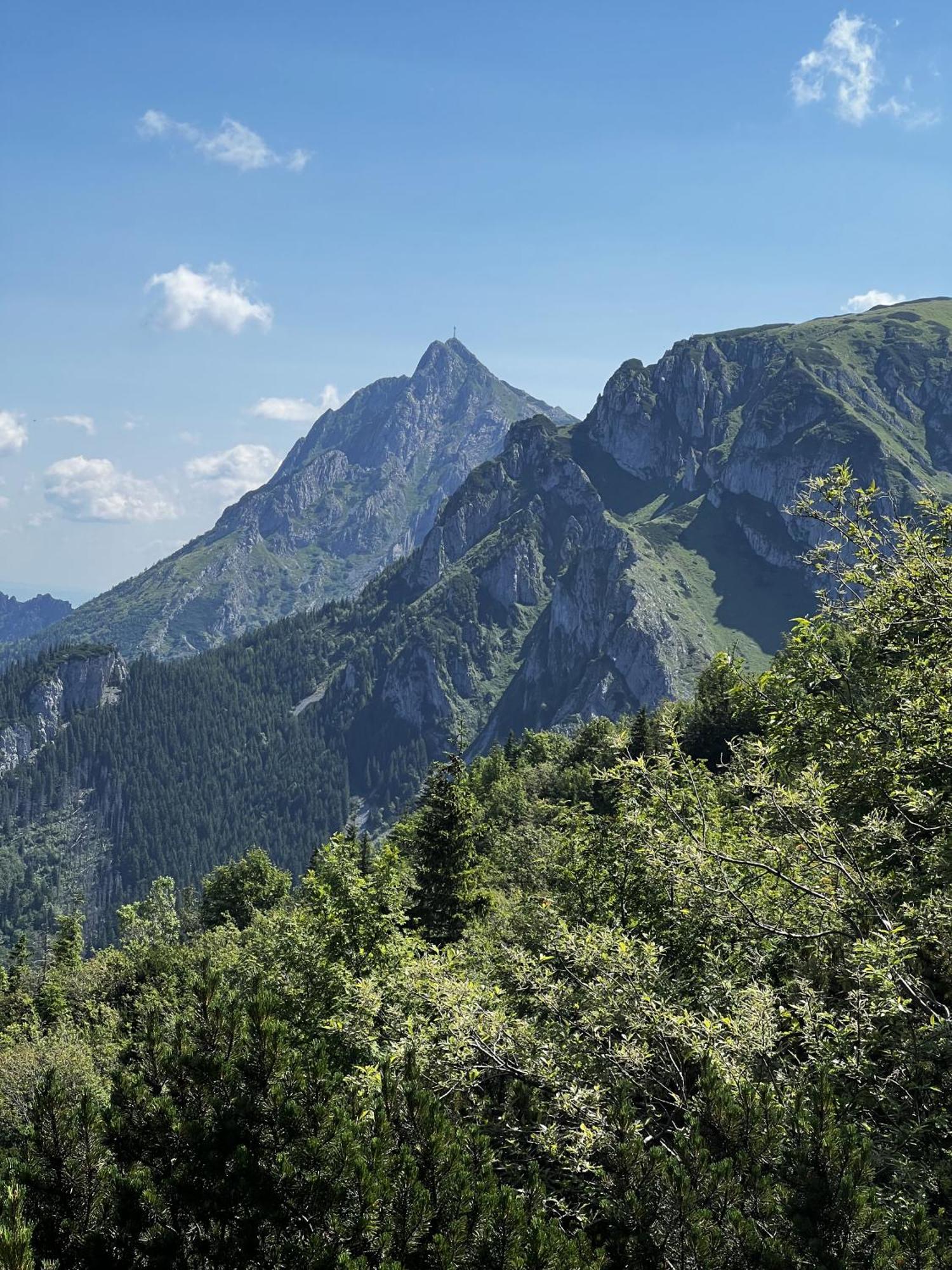 Apartamenty Goralski Dach Nad Glowa Poronin Bagian luar foto